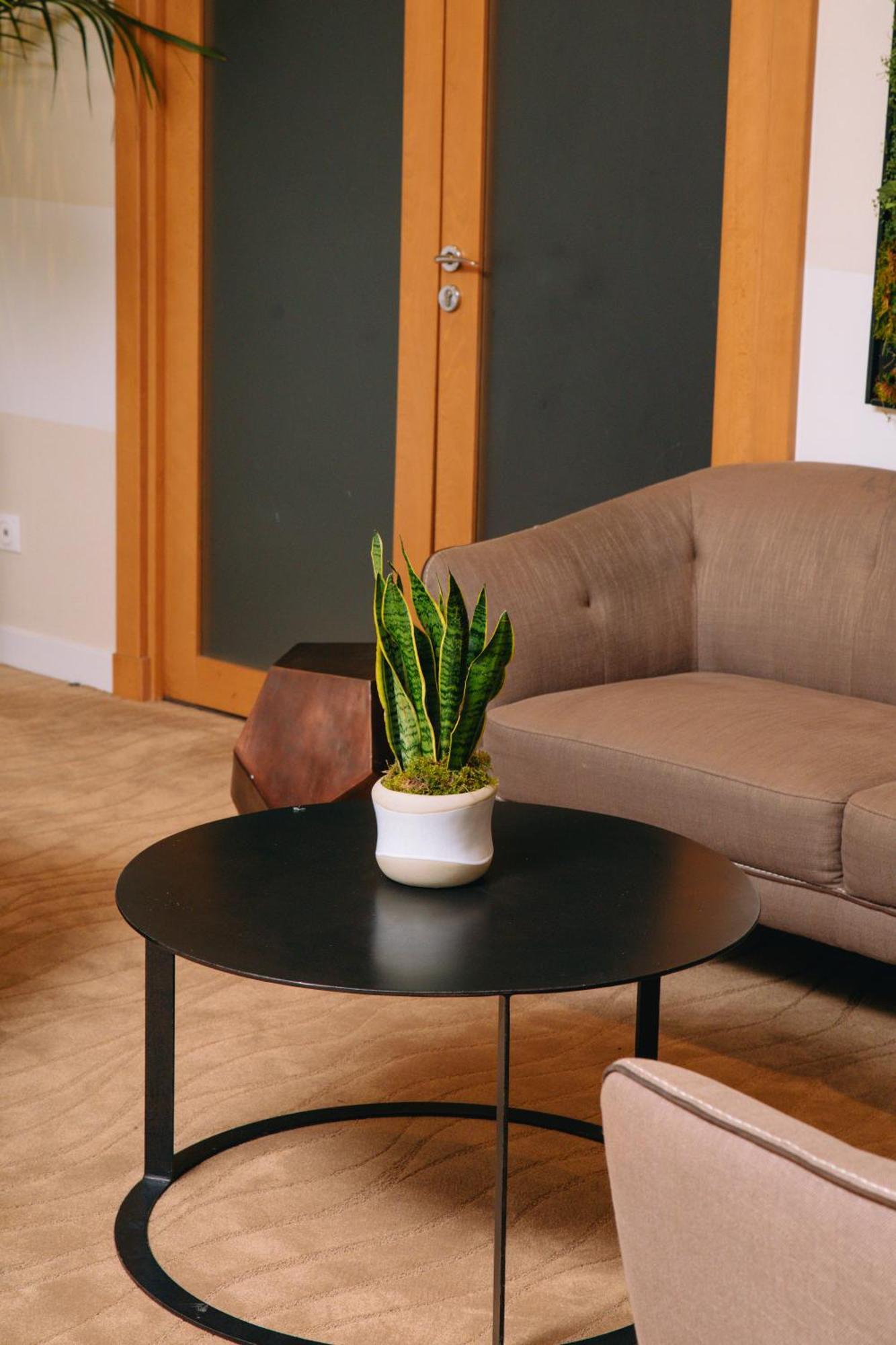 Fraser Suites Paris La Defense Courbevoie Exterior foto Sansevieria trifasciata